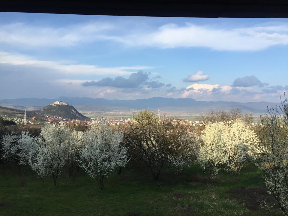 Hanu Lu Mos Opinca Ντέβα Εξωτερικό φωτογραφία